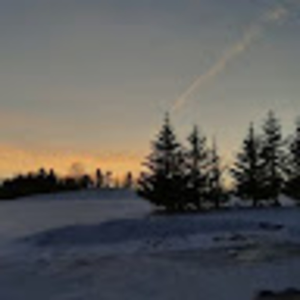 Meet your Posher, Tessa